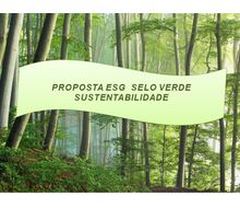 Credito-de-Sustentabilidade-SELO-SUSTENTAVEL-ESG-adquira-o-seu-e-mantenha-a-FLORESTA-EM-Pe